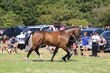 PHS_5548.jpg