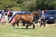 PHS_5549.jpg