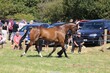 PHS_5550.jpg
