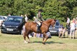 PHS_6405.jpg