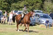 PHS_6406.jpg