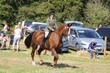 PHS_6407.jpg
