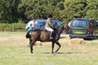 PHS_6672.jpg