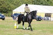 PHS_6742.jpg