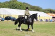 PHS_6743.jpg