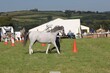 PHS13137.jpg