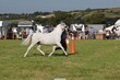 PHS13140(1).jpg