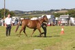 PHS13547.jpg