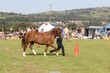 PHS13585.jpg