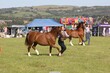 PHS13586.jpg