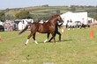 PHS13849.jpg