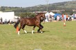 PHS13851.jpg