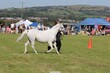 PHS13894.jpg