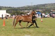 PHS13921.jpg