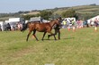 PHS14149.jpg