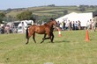 PHS14278.jpg