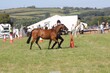 PHS14279.jpg