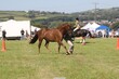 PHS14399.jpg