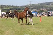 PHS14400.jpg
