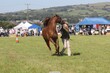 PHS14402.jpg