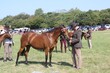 PHS14457.jpg