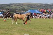 PHS14477.jpg