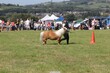 PHS14565.jpg
