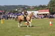PHS14709.jpg