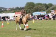 PHS14711.jpg