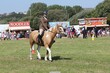 PHS14712.jpg