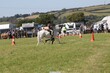 PHS14856.jpg