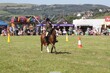PHS14921.jpg