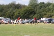 PHS15127.jpg