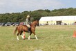 PHS15219.jpg