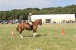 PHS15220.jpg