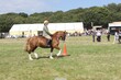 PHS15221.jpg