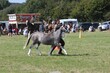 PHS15425.jpg