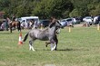 PHS15426.jpg