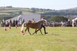 PHS15511.jpg