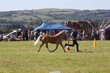 PHS15515.jpg