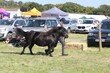 PHS15637.jpg