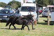 PHS15640.jpg