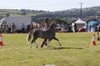 PHS15675.jpg