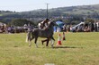 PHS15676.jpg