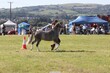 PHS15677.jpg