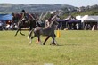 PHS15679.jpg