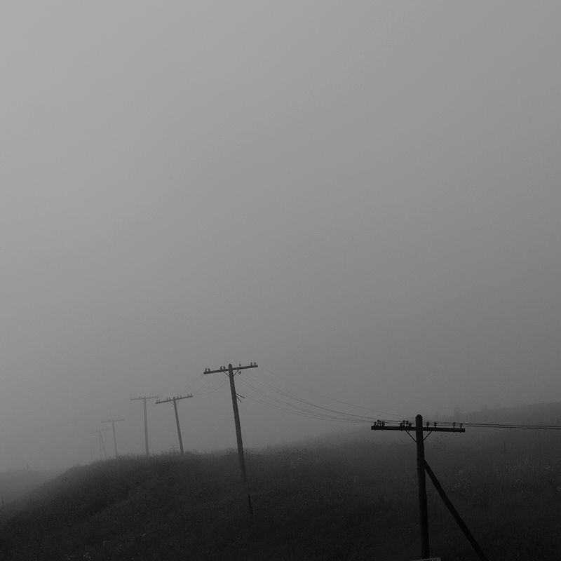 D204646 bw.jpg