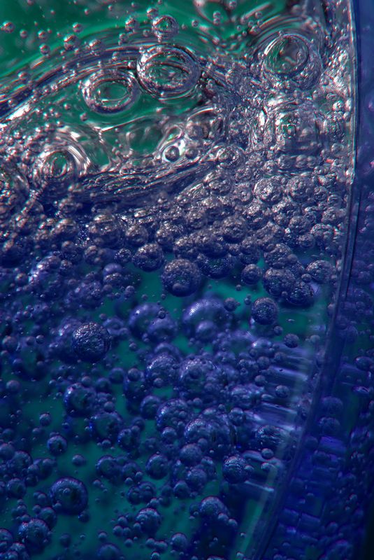 Macro4199.jpg