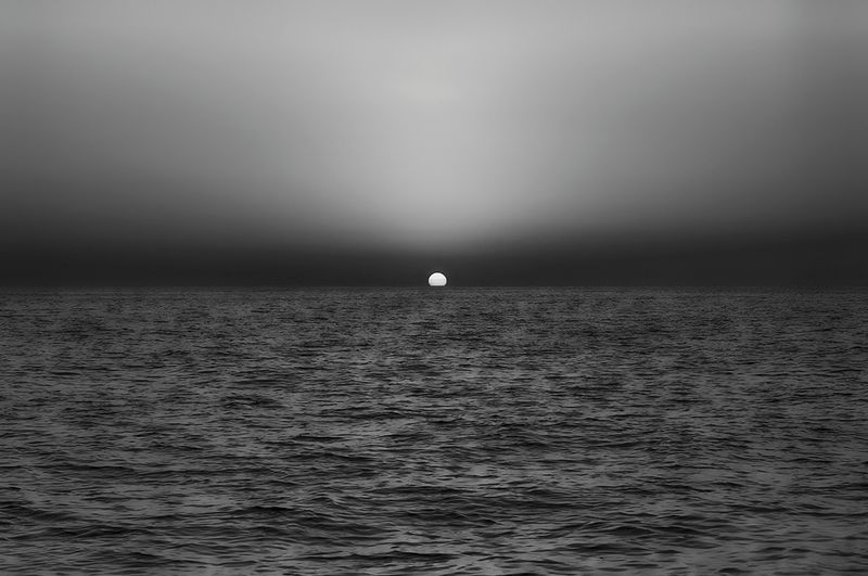 Sochi 203565 bw.jpg