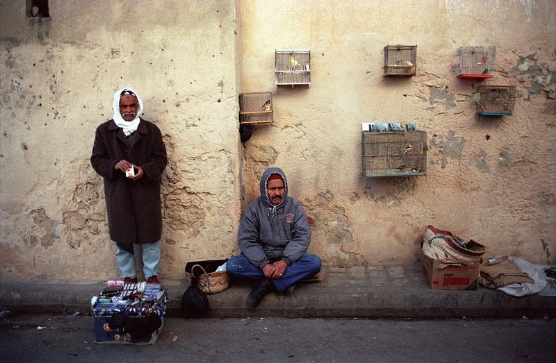 Tunis-PtichIDadki05.jpg